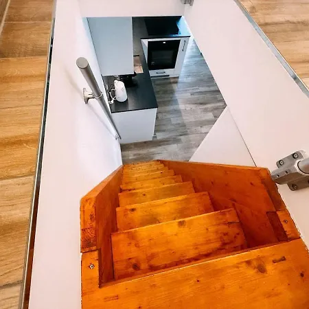 The Timber In * 브리엔츠