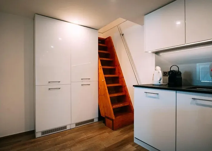 Apartament The Timber In Brienz (Bern)